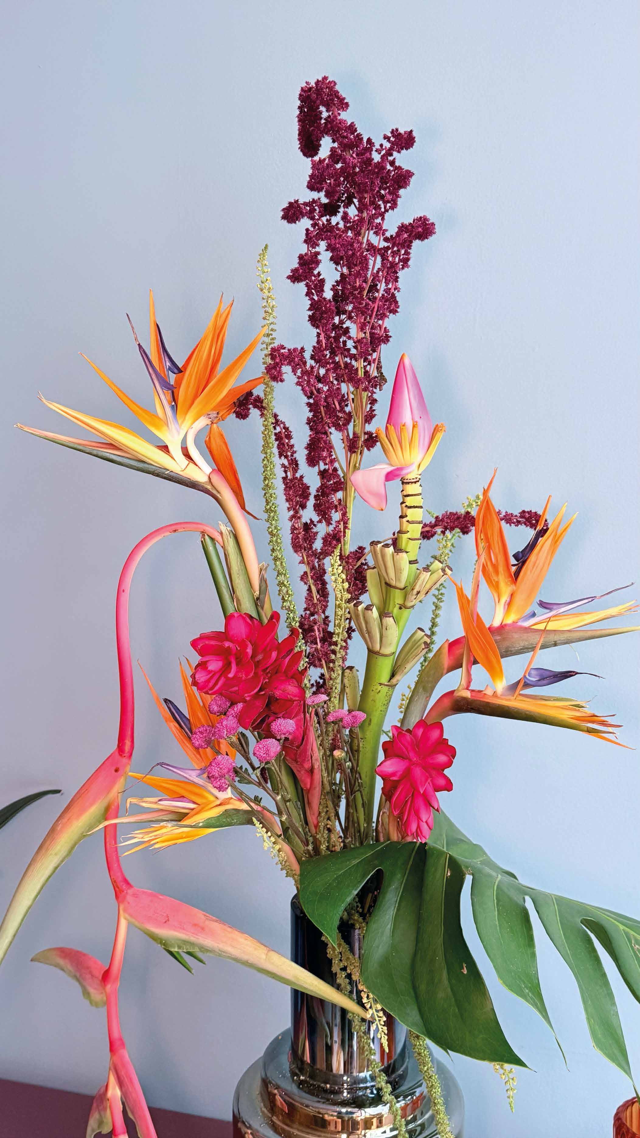 Arreglo de aves del paraíso y heliconia